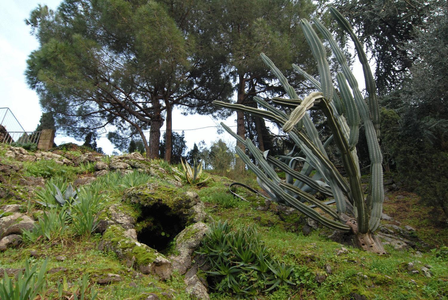 La Dimora Le Fumarole Rooms Ercolano Buitenkant foto